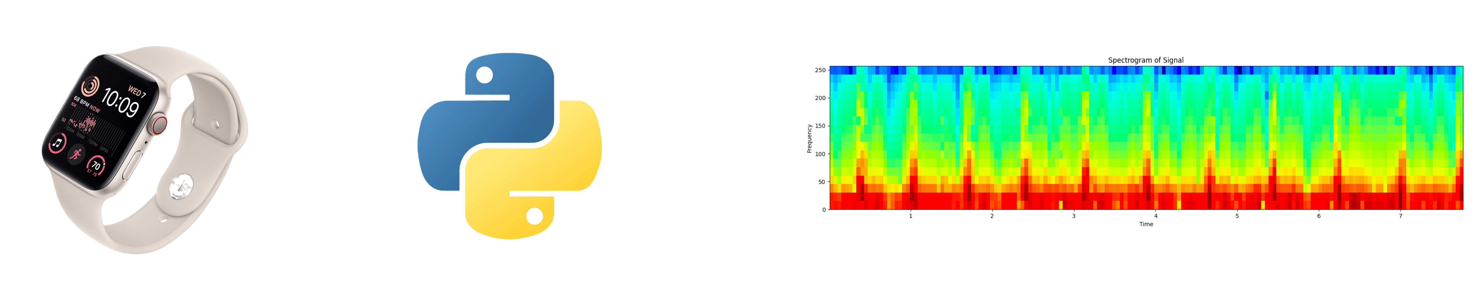 Dynamic-ECG project image